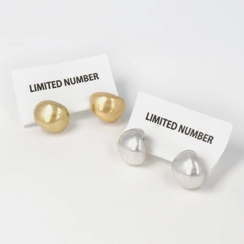 Chunky Hoop Titanium Earrings