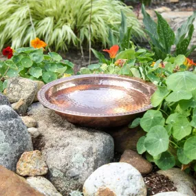 Copper Bowl Birdbath