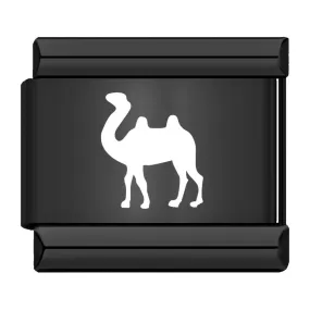 Dromedary, on Black