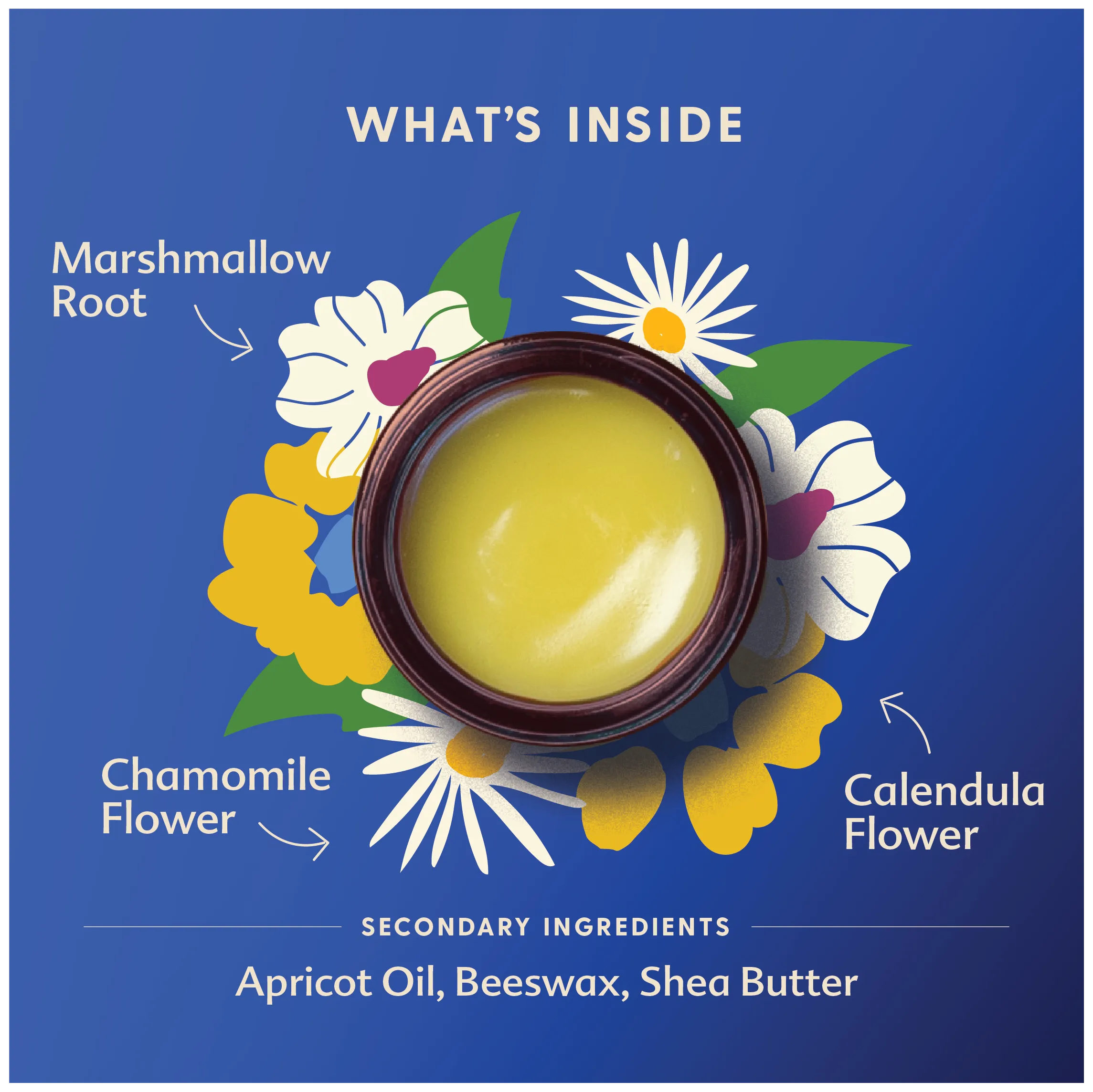 Everyday Baby Balm - 2 oz by Motherlove