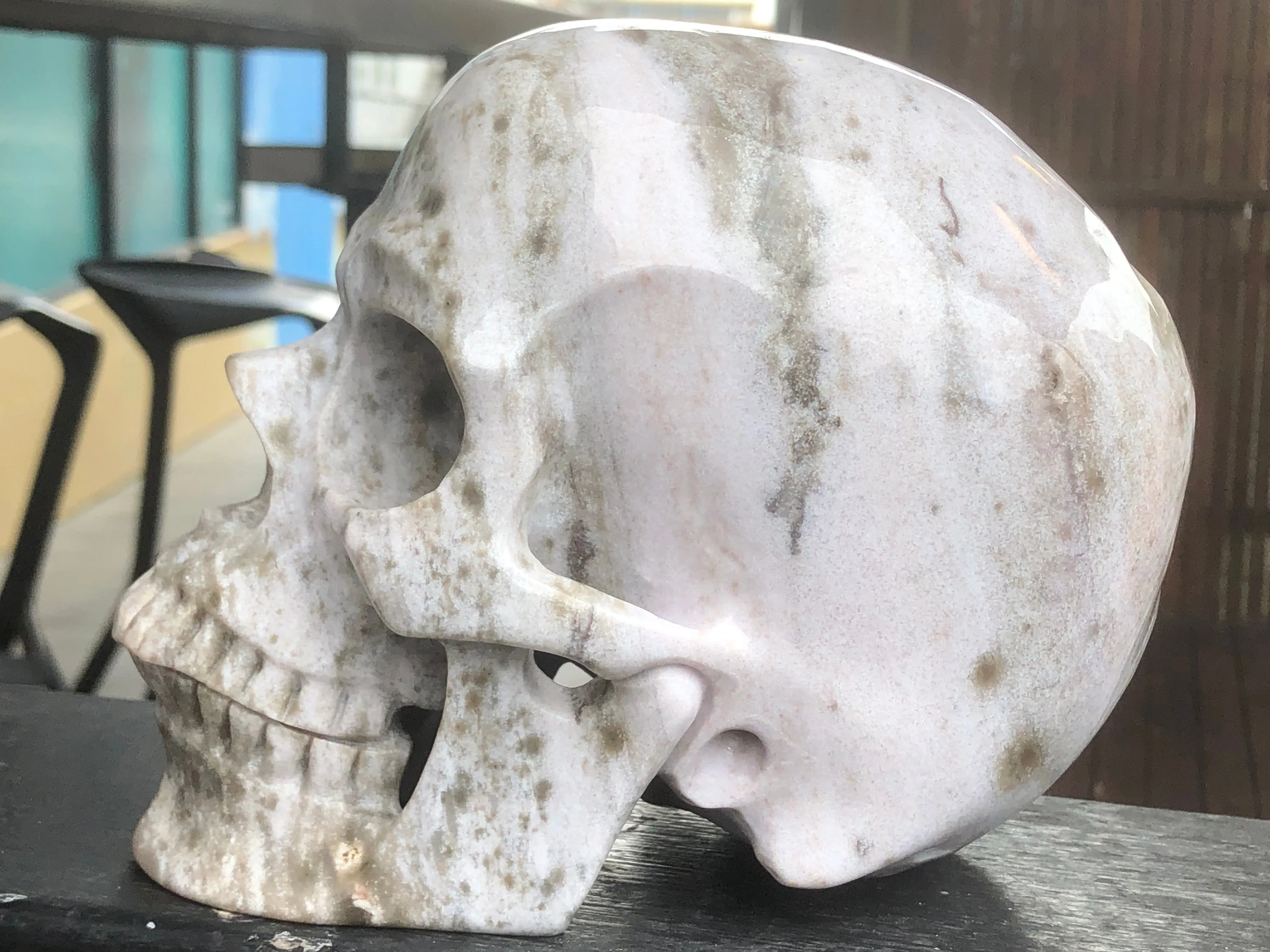 Indian Agate Skull [1k1557]